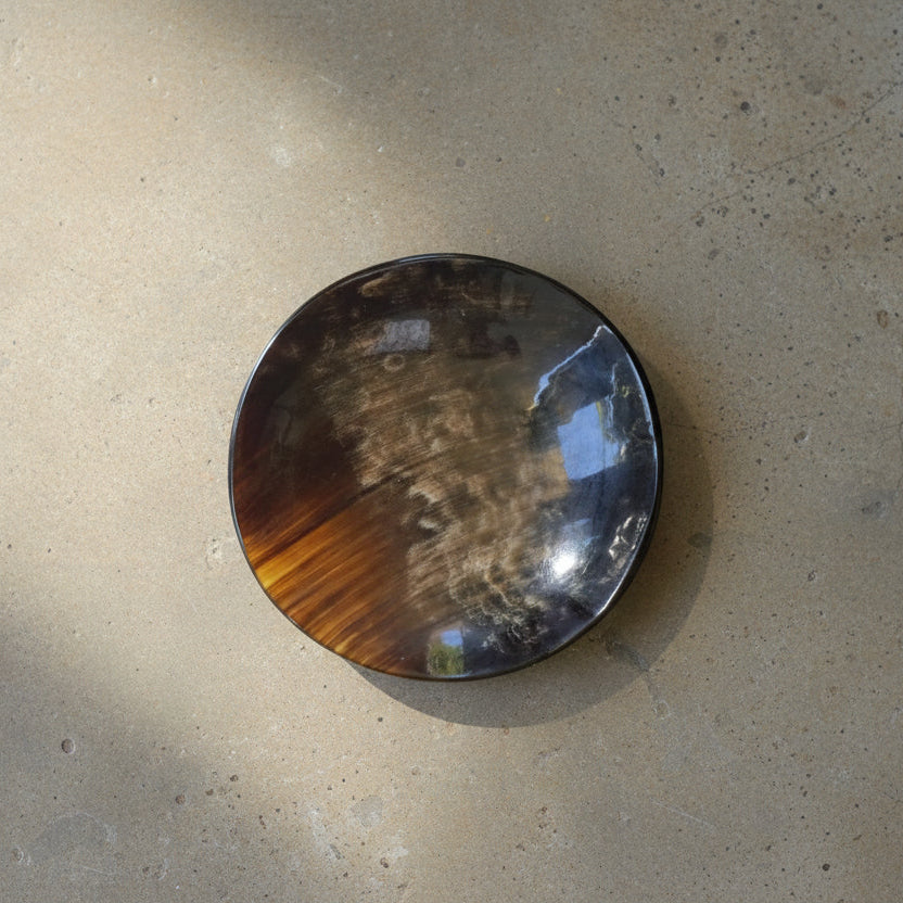 Horn Coin Dish