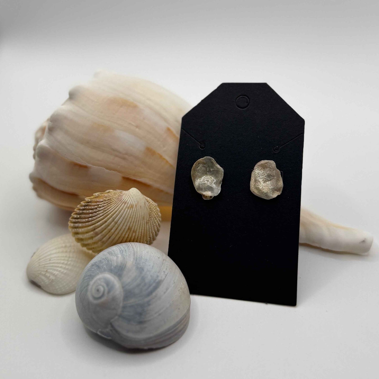 Natural Oyster Shell Earrings