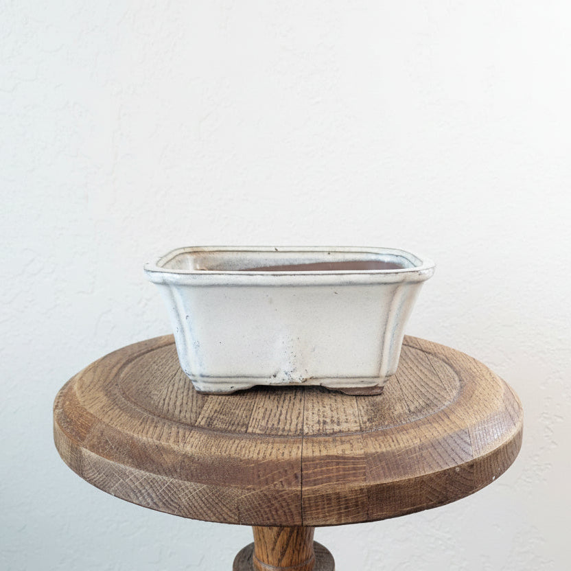 Ceramic Creme Bonsai Pot