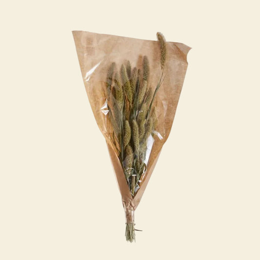 Bouquet of dried grasses in a clear plastic bag with brown paper on a white background